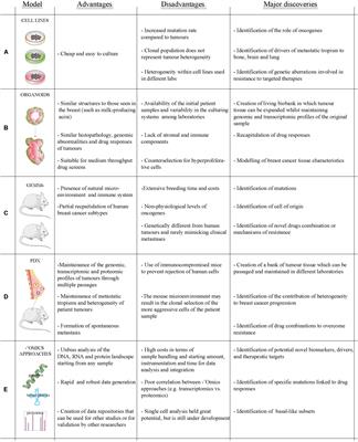 ‘Omics Approaches to Explore the Breast Cancer Landscape